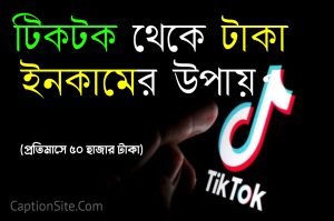 টিকটক থেকে টাকা ইনকামের ৬ টি উপায়