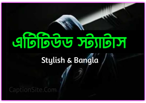ফেসবুক এটিটিউড স্ট্যাটাস ২০২৪
